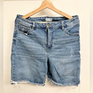 Ava & Viv 14w distressed jean shorts
